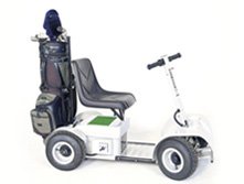parmaker golf buggy for sale
